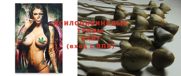 jwh Арсеньев