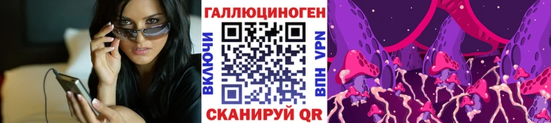 Псилоцибиновые грибы Psilocybe Ленск